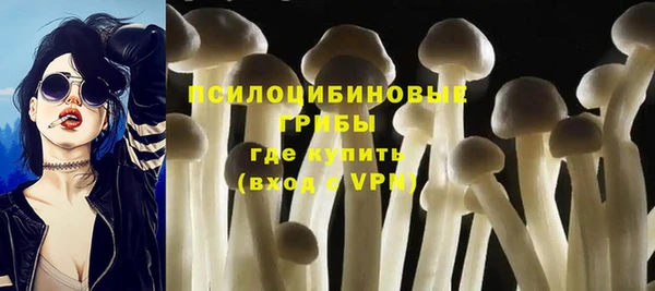ПСИЛОЦИБИНОВЫЕ ГРИБЫ Алексин