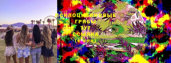 спиды Аркадак