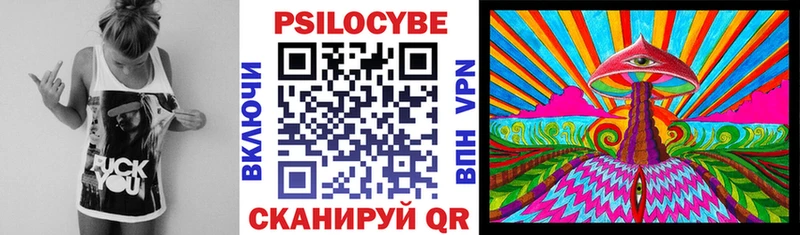 Псилоцибиновые грибы Cubensis  Гудермес 