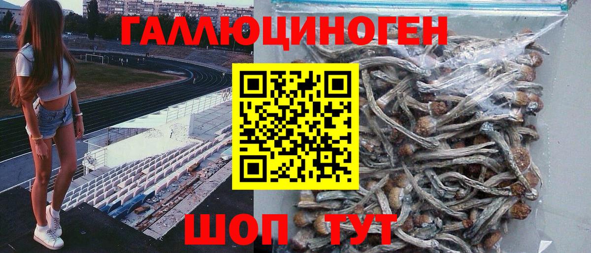 Псилоцибиновые грибы MAGIC MUSHROOMS  Вход с VPN  Гудермес 